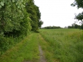 790-2013_Rady Detmarovice.jpg